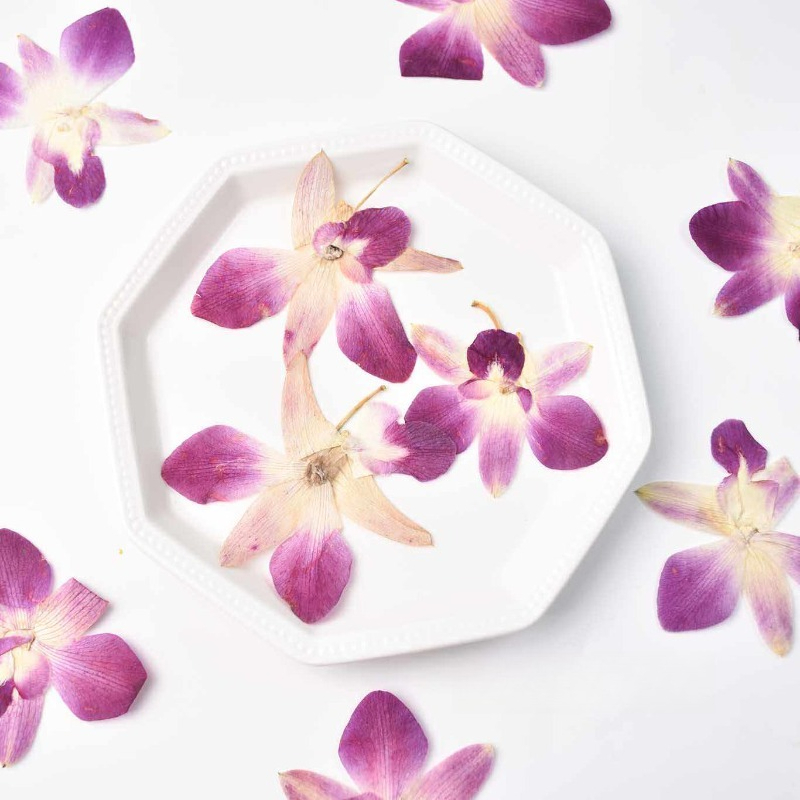 Resin Art Frame - 4 peças, Flores de Orquídea Borboleta