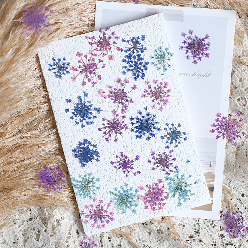 24 peças, 2-2,5cm, Pétalas de  - Resin Art Frame avaliação e preço